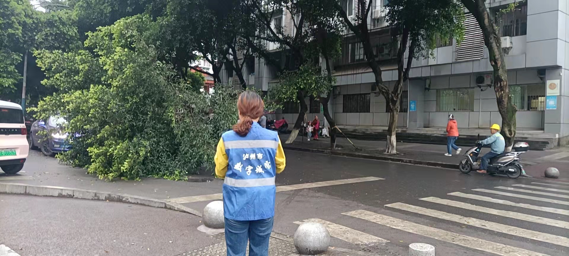 堅持雨后精準采集，共護市民出行安全