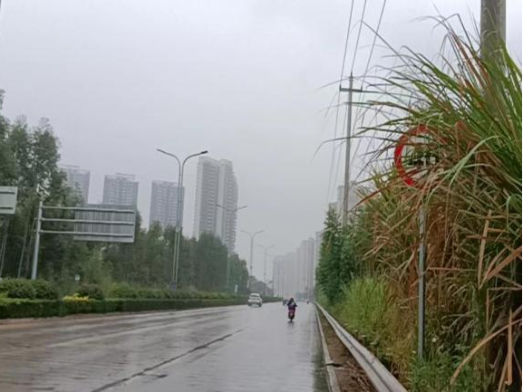 全力以赴戰寒潮，姜汁湯圓暖人心